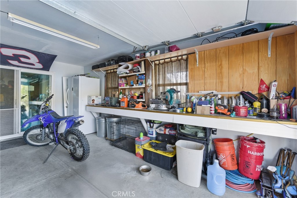 61455 Indian Paint Brush