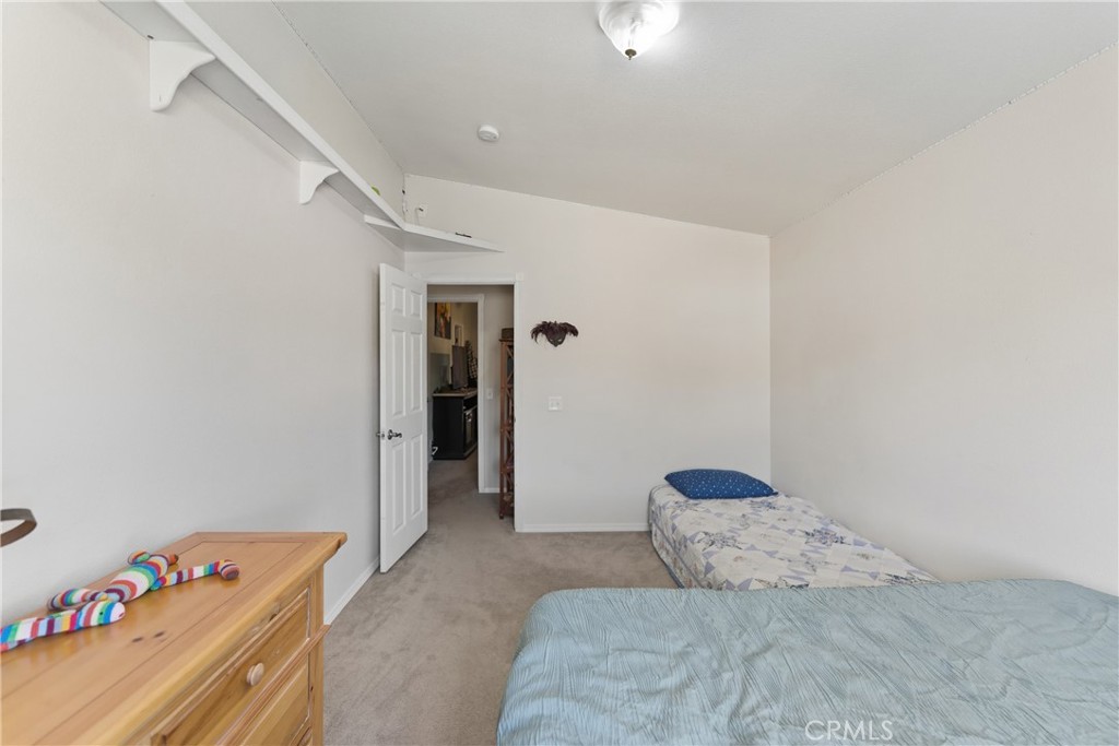 61455 Indian Paint Brush