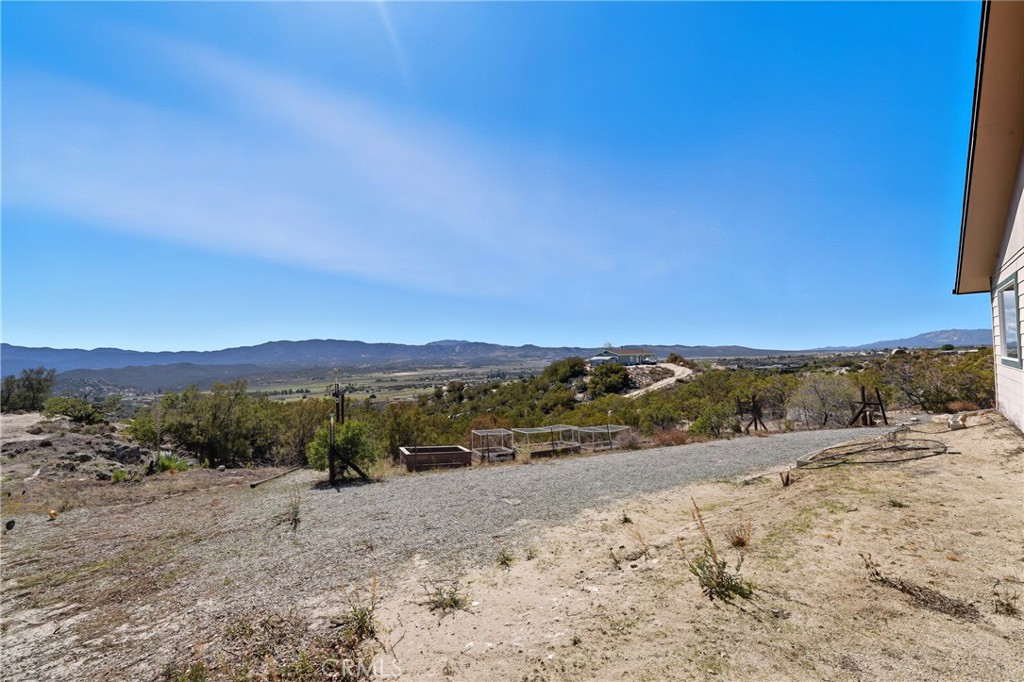 61455 Indian Paint Brush