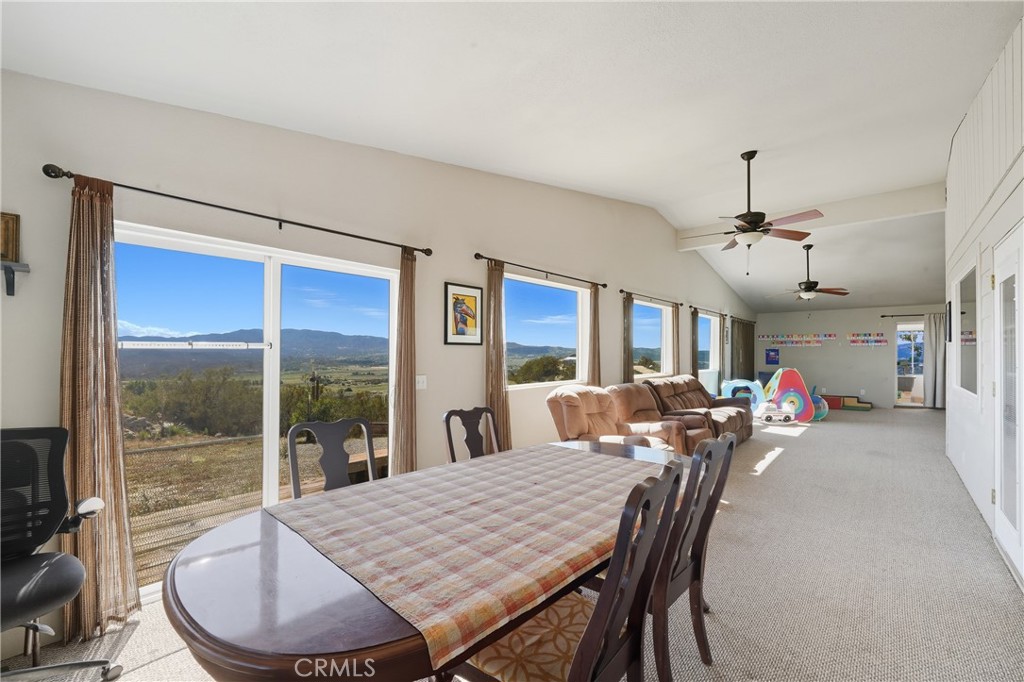 61455 Indian Paint Brush