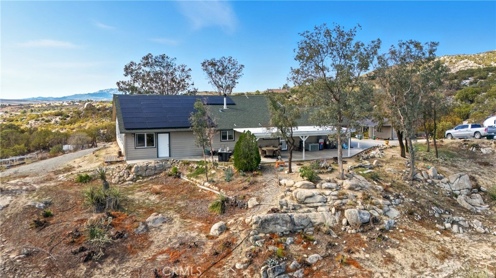 61455 Indian Paint Brush