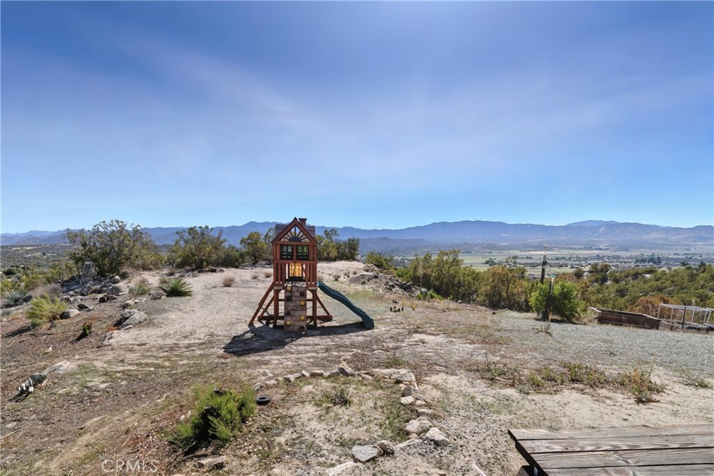 61455 Indian Paint Brush