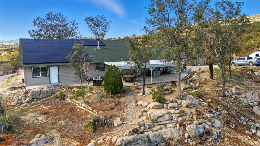 61455 Indian Paint Brush