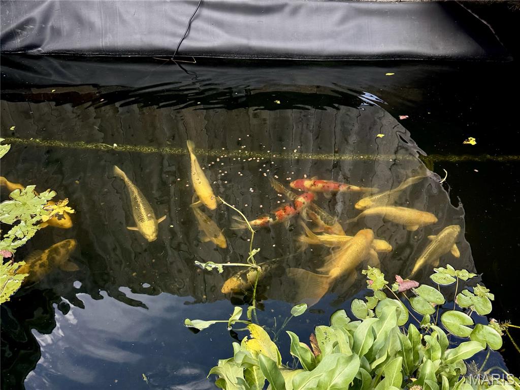 84 S Laclede Station Road