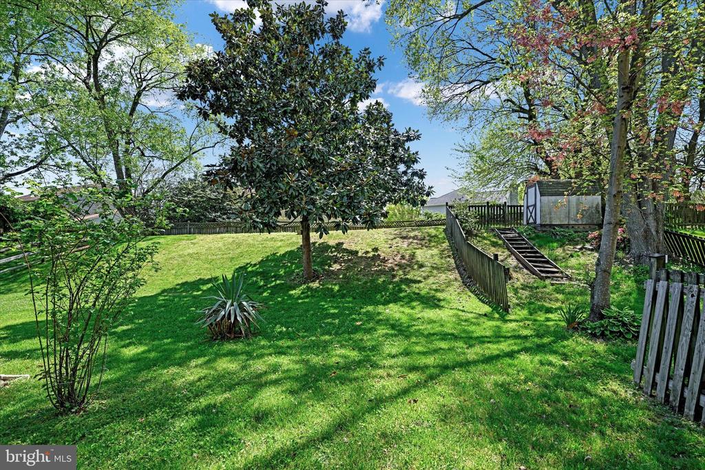 22 Borgia Ct