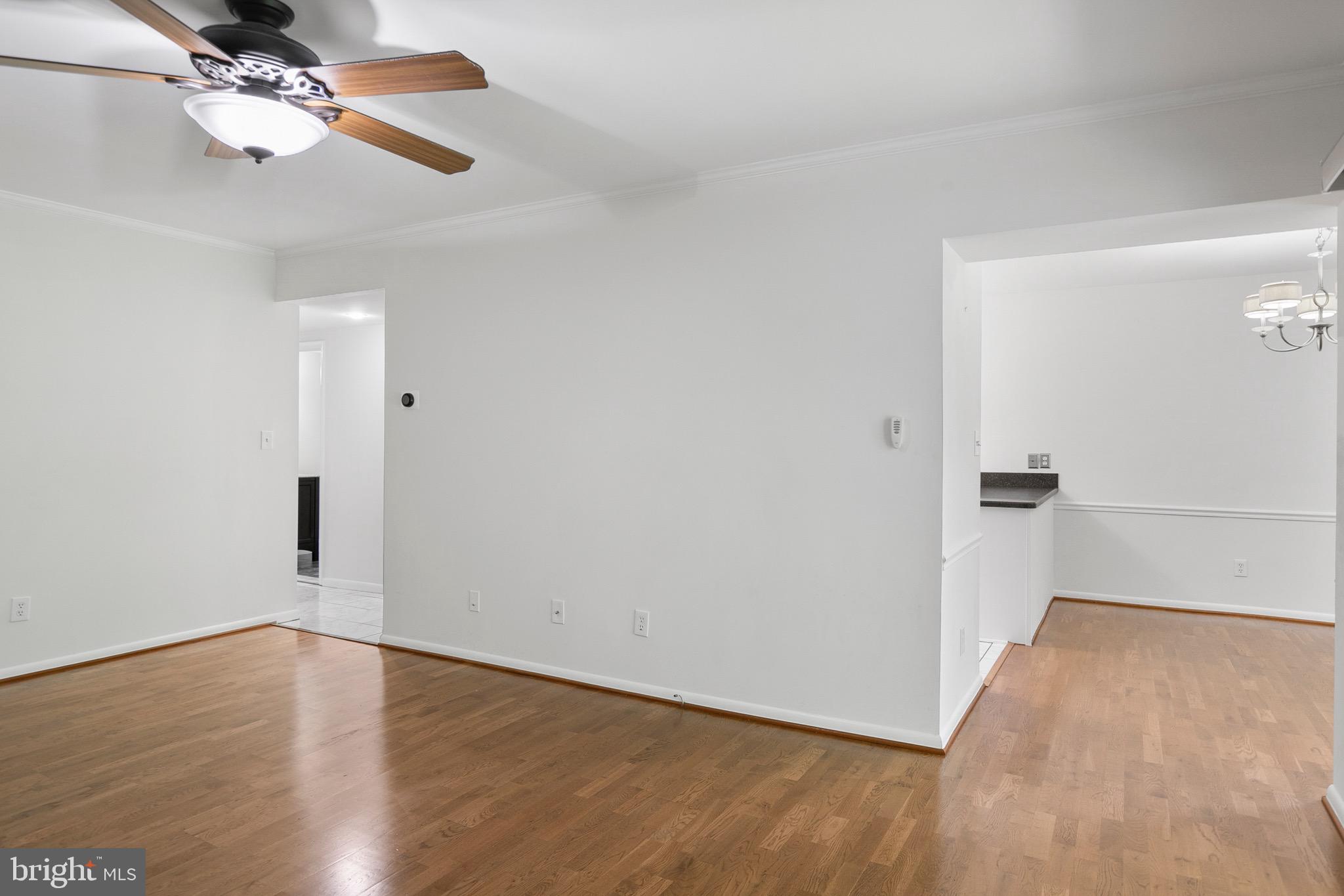 10 Stapleton Ct #202