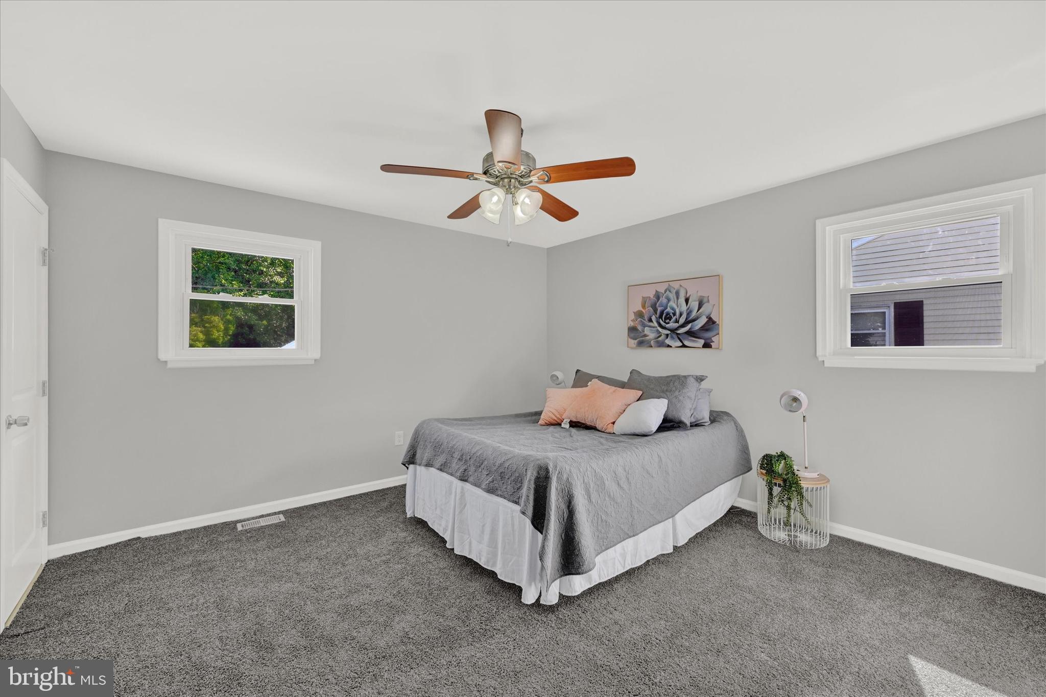 222 Candytuft Rd