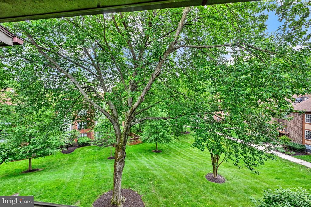 3 PIPE HILL COURT C 3C