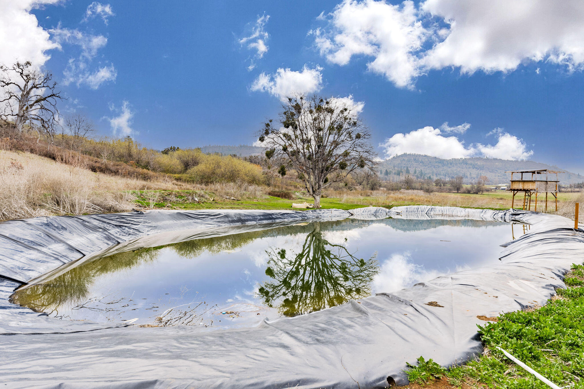 612 Brownsboro Meridian Road