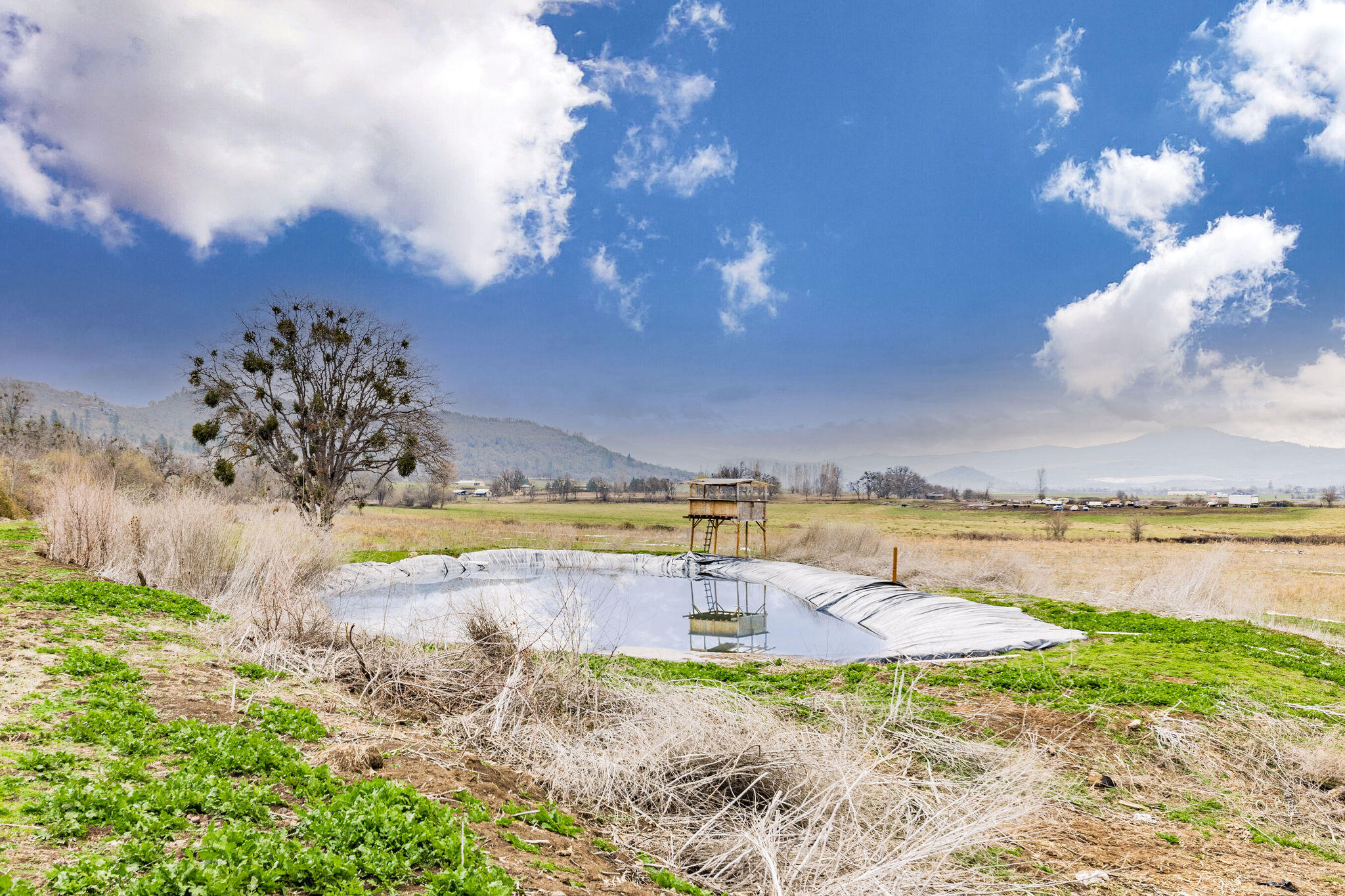 612 Brownsboro Meridian Road