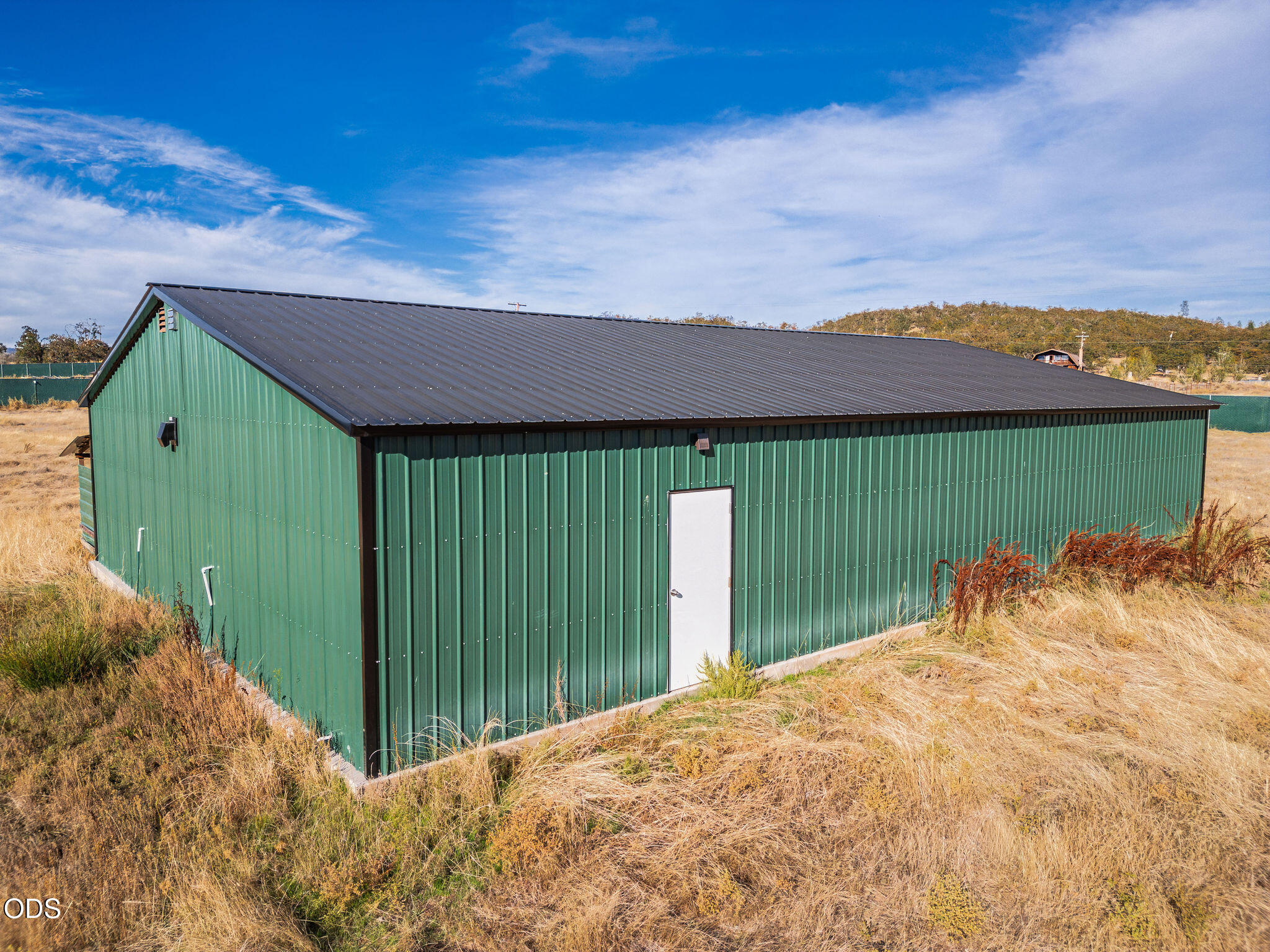 Green metal outbuilding with a dark gabled roof and white door amid dry grass.