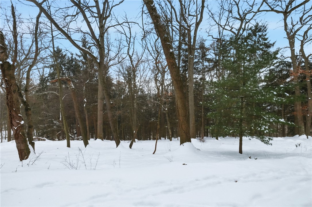 2105 Saint James Place