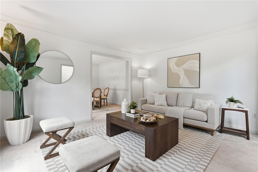 Staged living room with a gray sofa, dark wood coffee table, striped rug, and large potted plant.