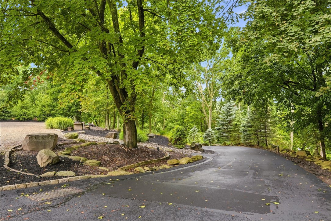 Curved driveway bordered by mature trees, shrubs, and landscaped beds.