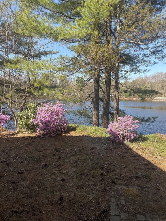 4 Mill Pond Road