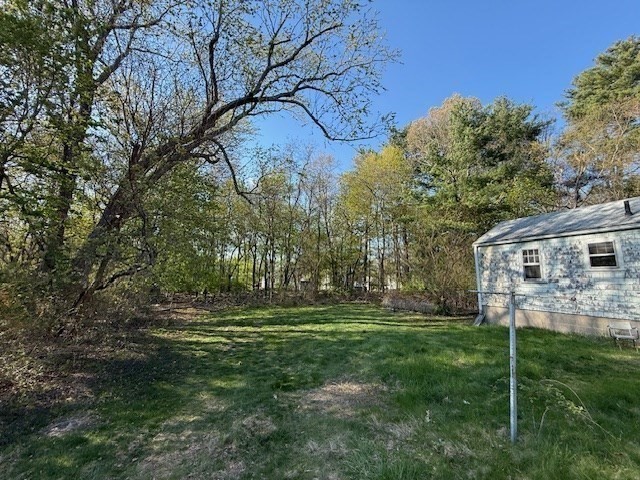 48 Forest St.
