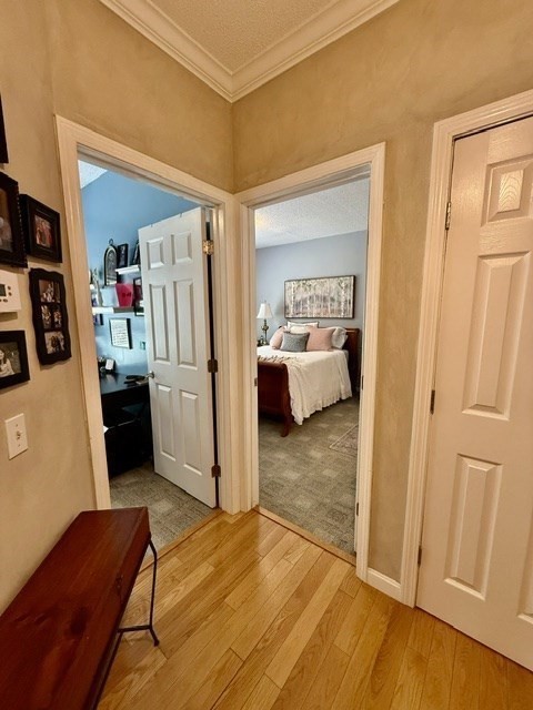 84 Bradford Commons Ln. # 84