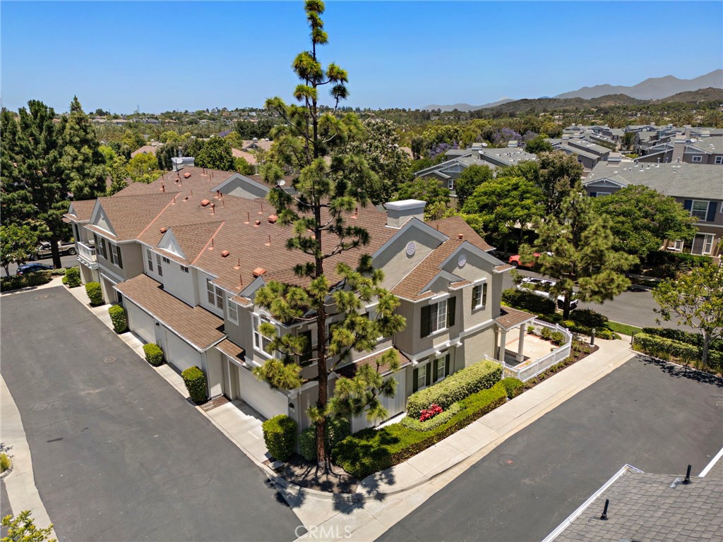 15 Strawflower Street