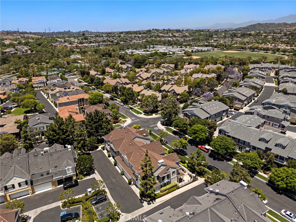 15 Strawflower Street