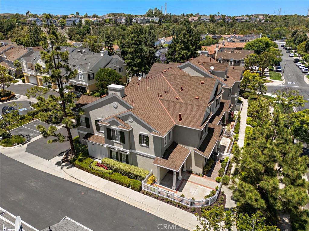 15 Strawflower Street