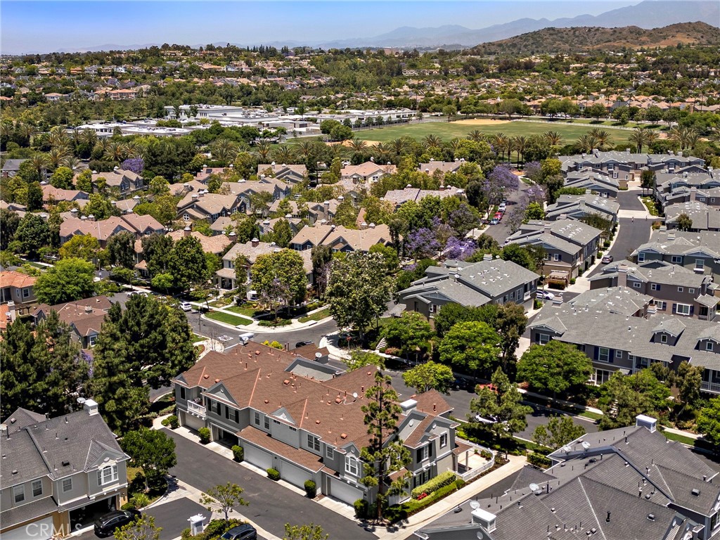 15 Strawflower Street