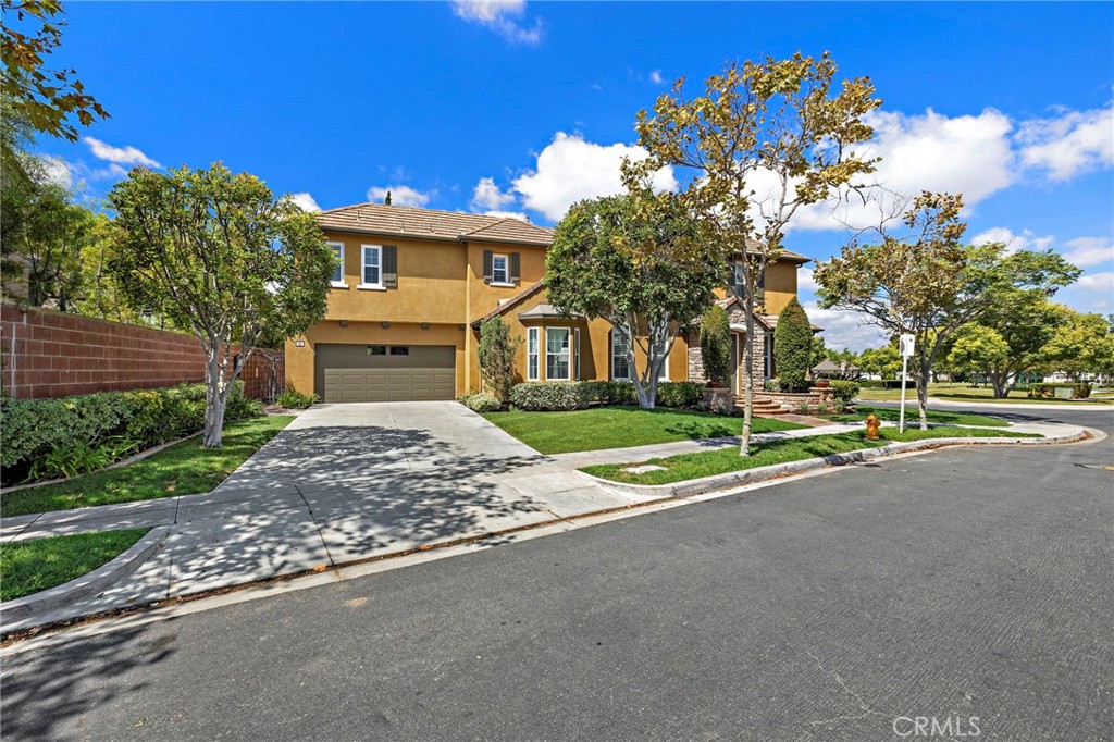 63 Tuberose Street