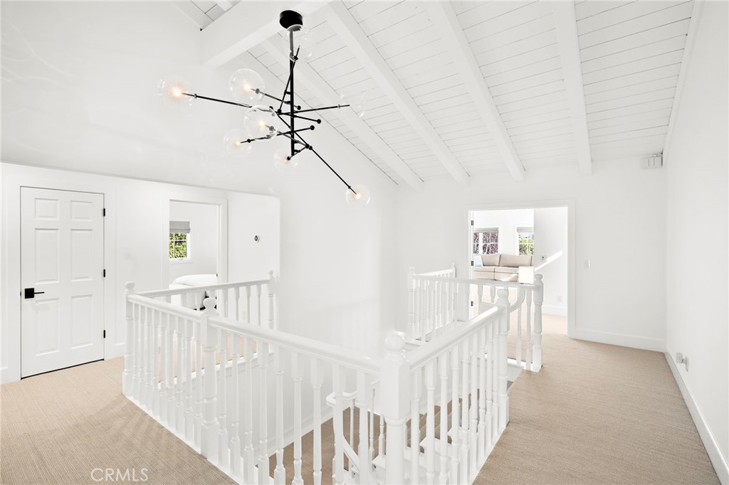 30822 30822 Steeplechase