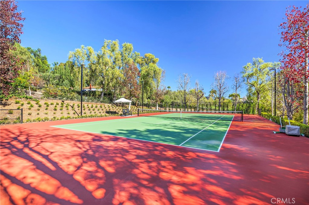 30822 30822 Steeplechase