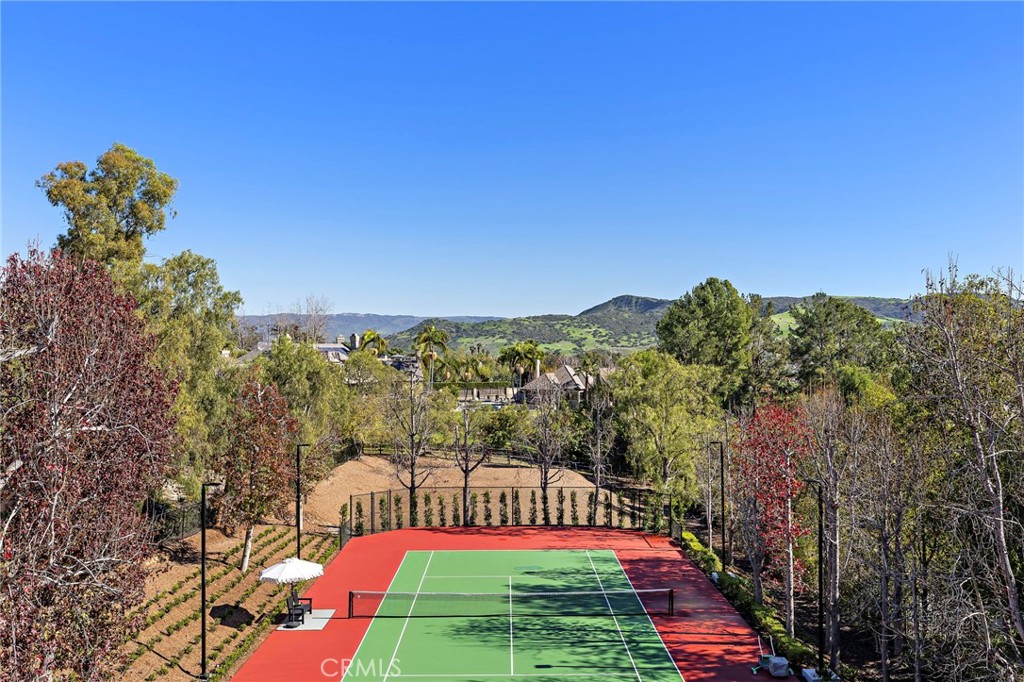 30822 30822 Steeplechase