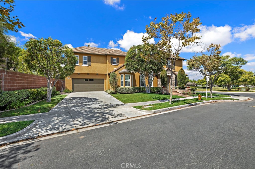 63 Tuberose Street