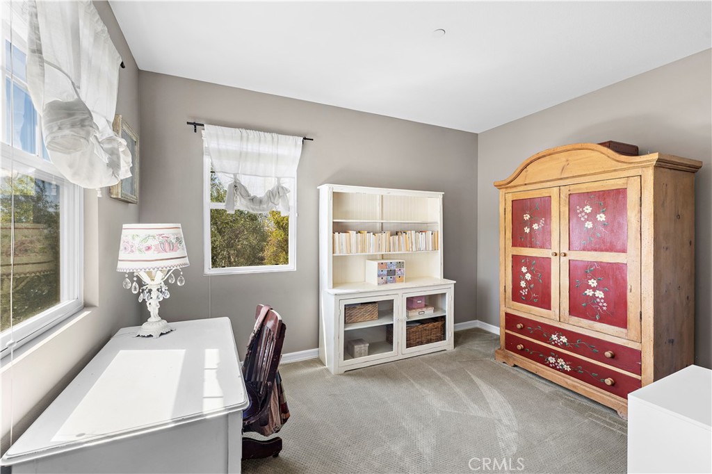 18 Blue Spruce