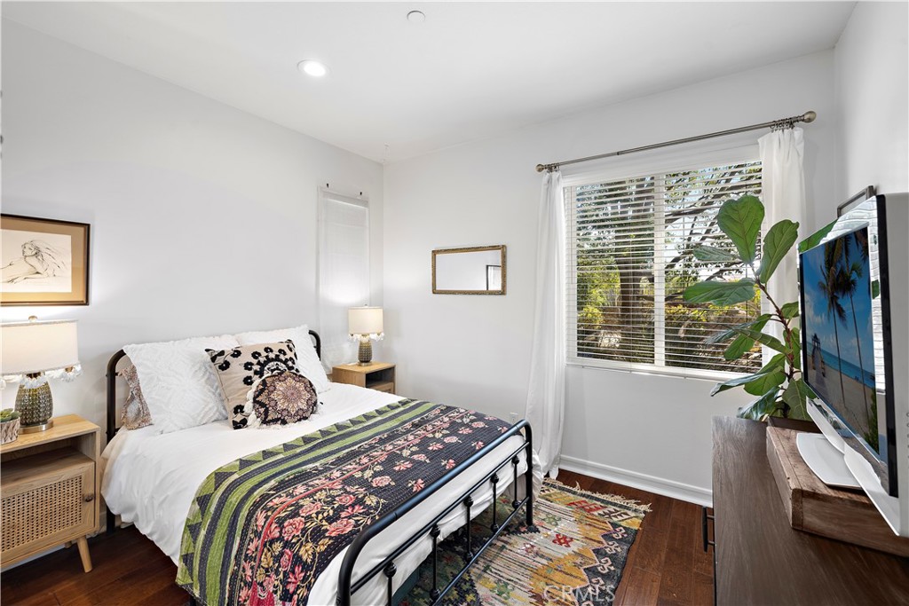 18 Blue Spruce