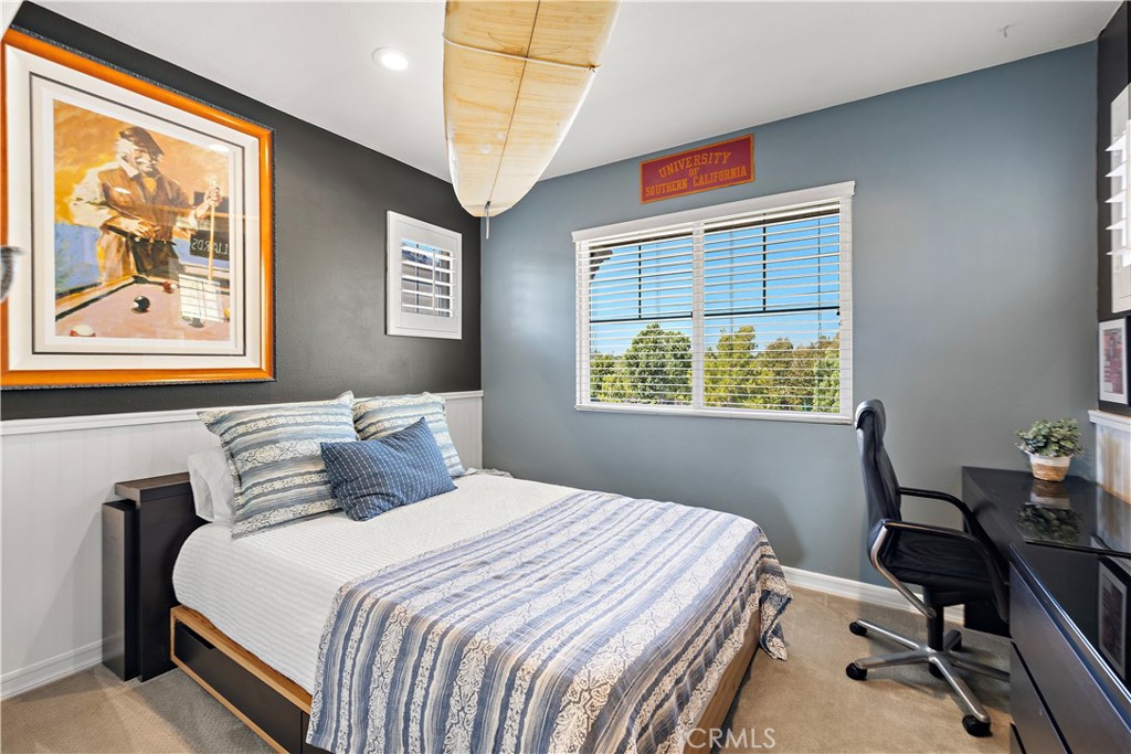 18 Blue Spruce