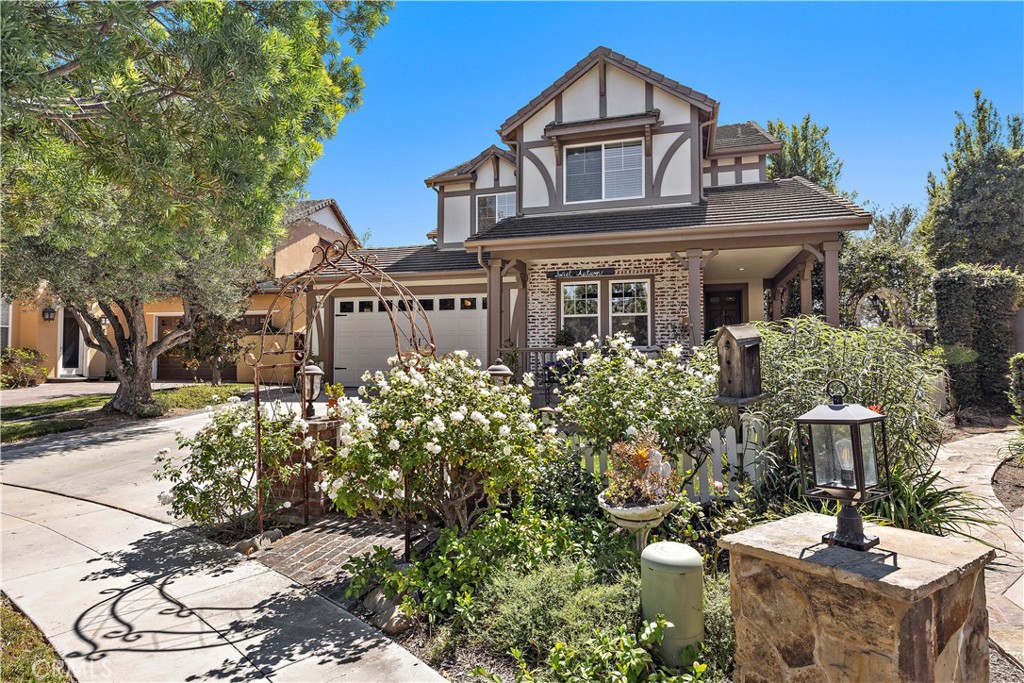 18 Blue Spruce