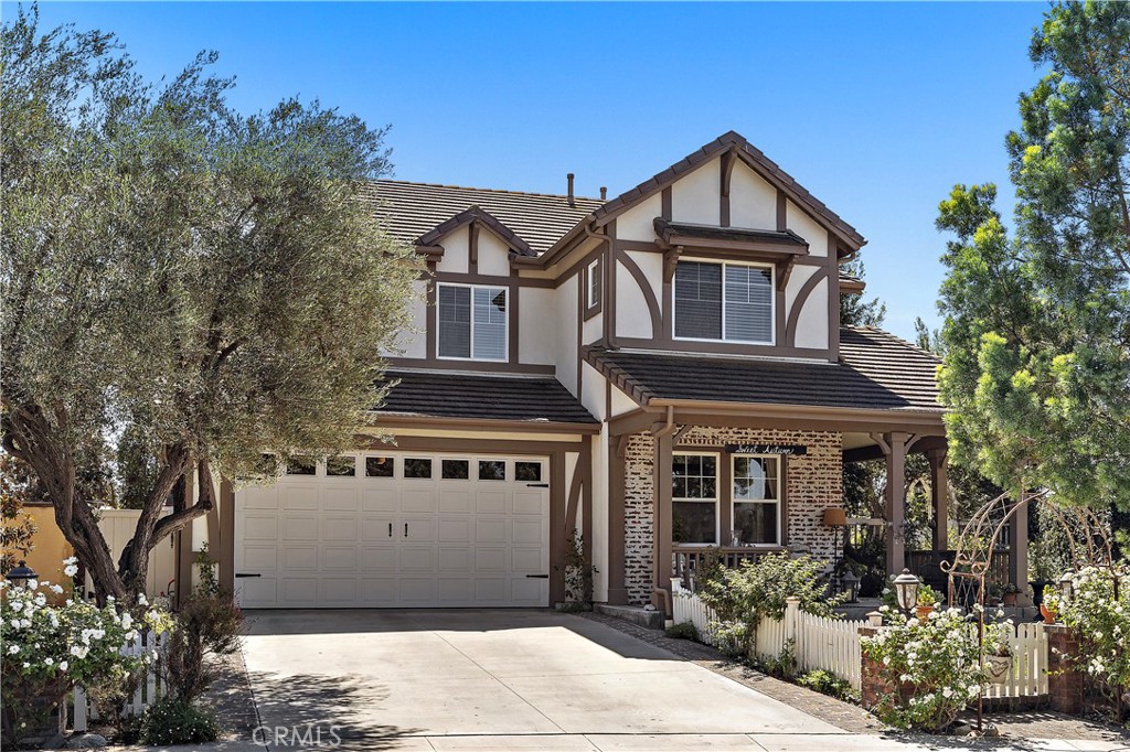 18 Blue Spruce