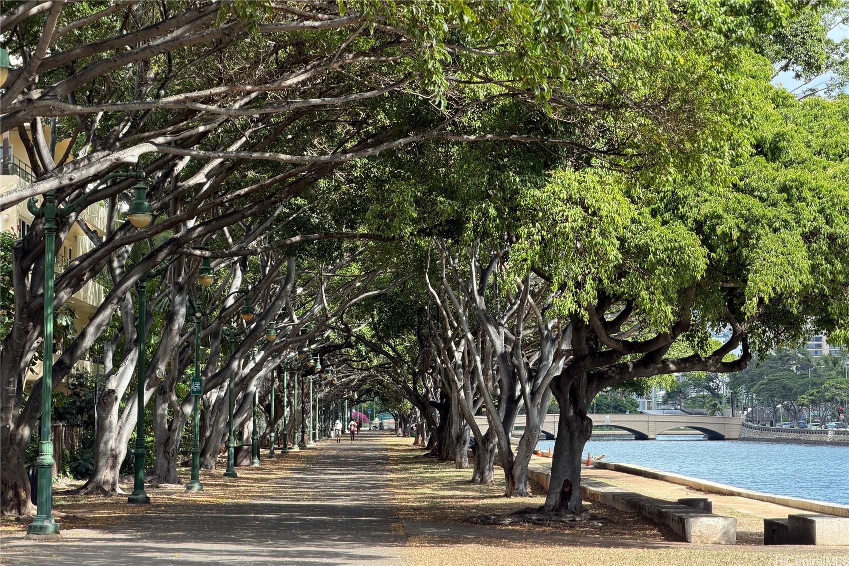 419 A Atkinson Drive 1202