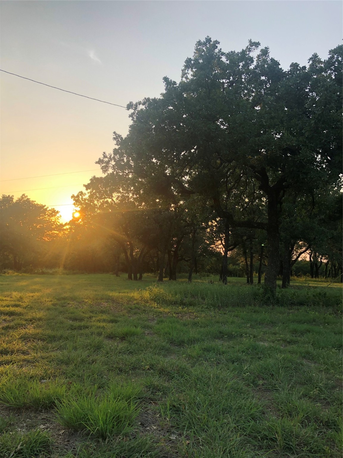 1906 Coleman Ranch Road