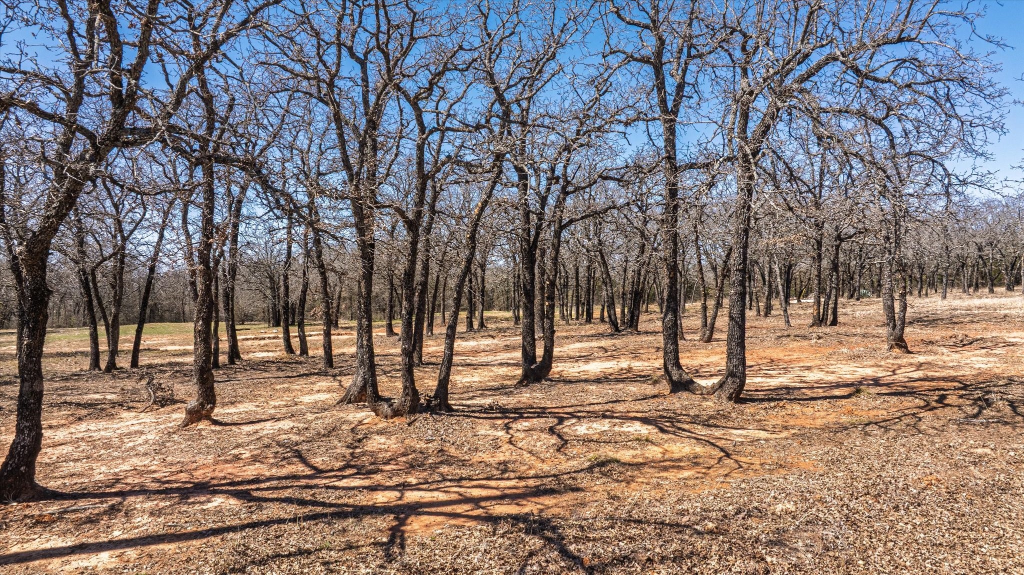 1918 Coleman Ranch Road