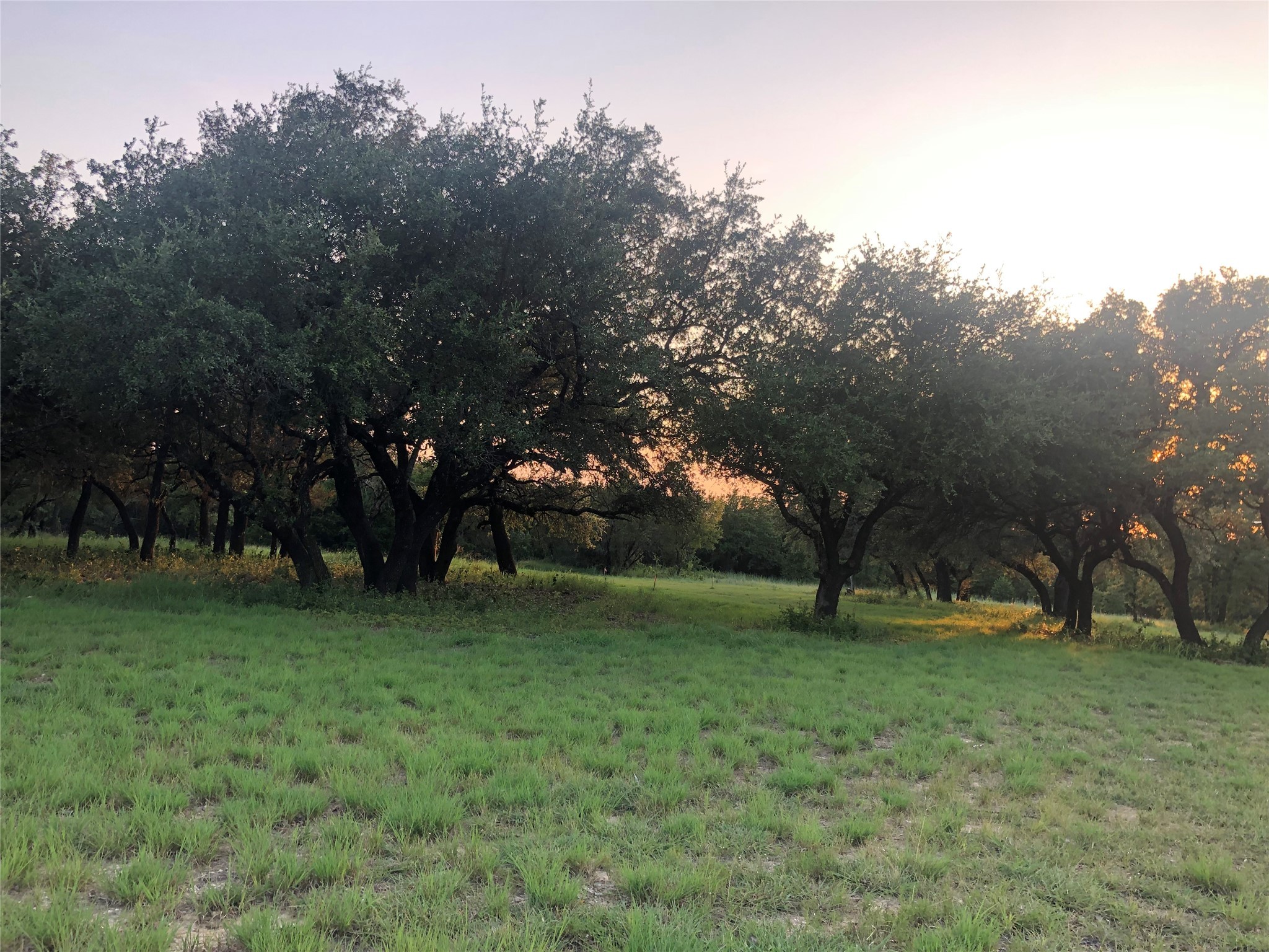 1906 Coleman Ranch Road