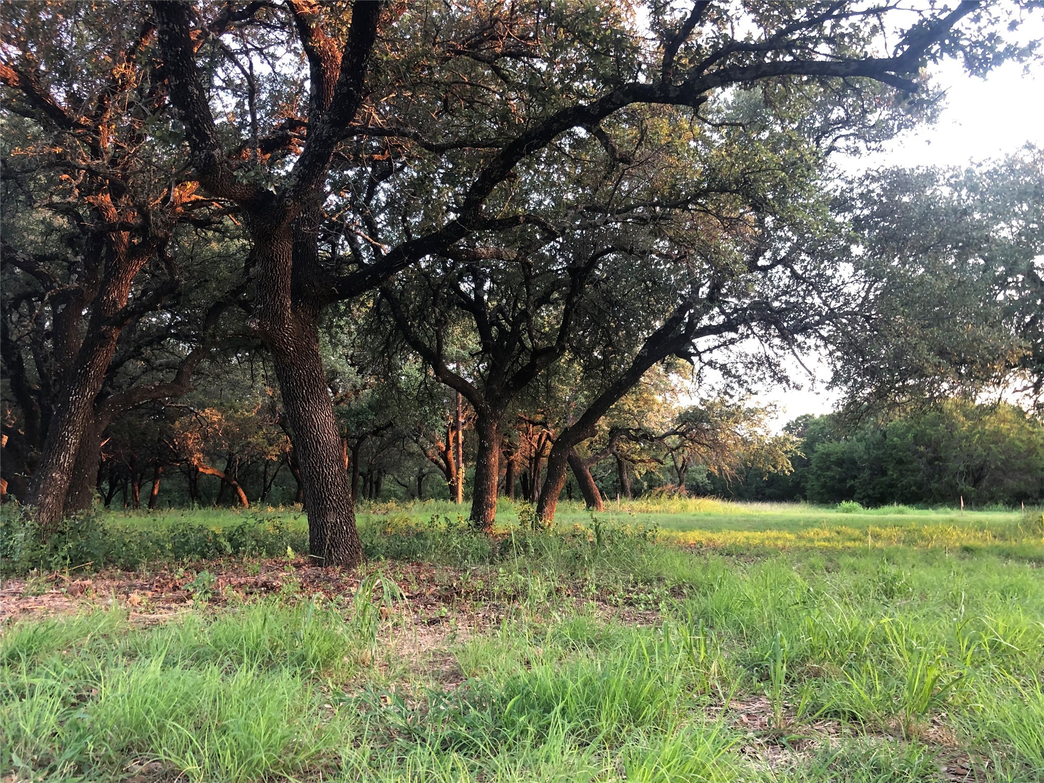 1906 Coleman Ranch Road