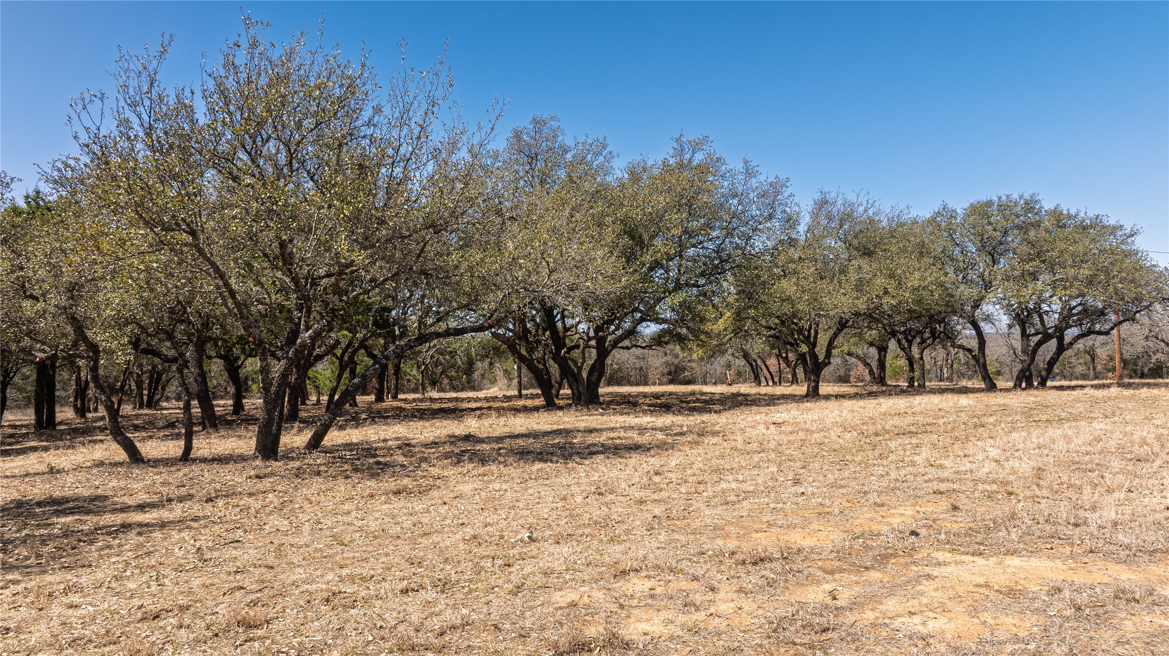 1918 Coleman Ranch Road