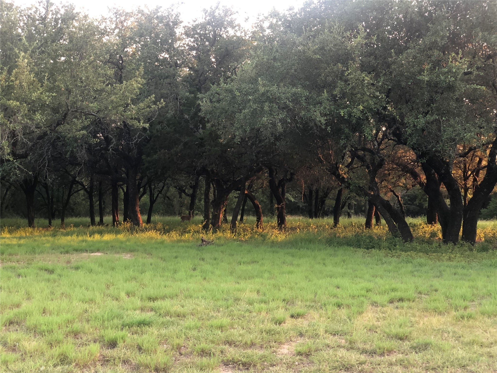 1918 Coleman Ranch Road