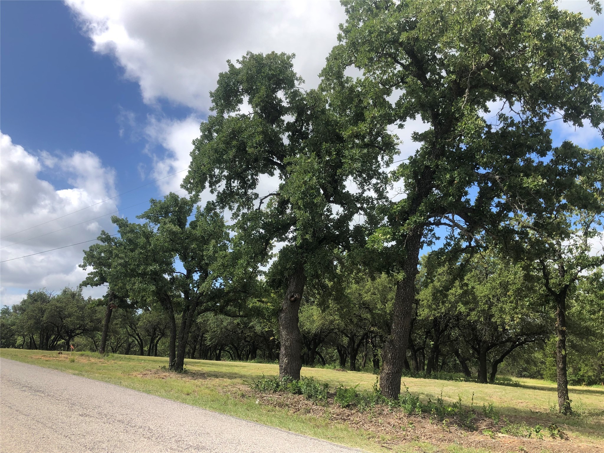 1924 Coleman Ranch Road
