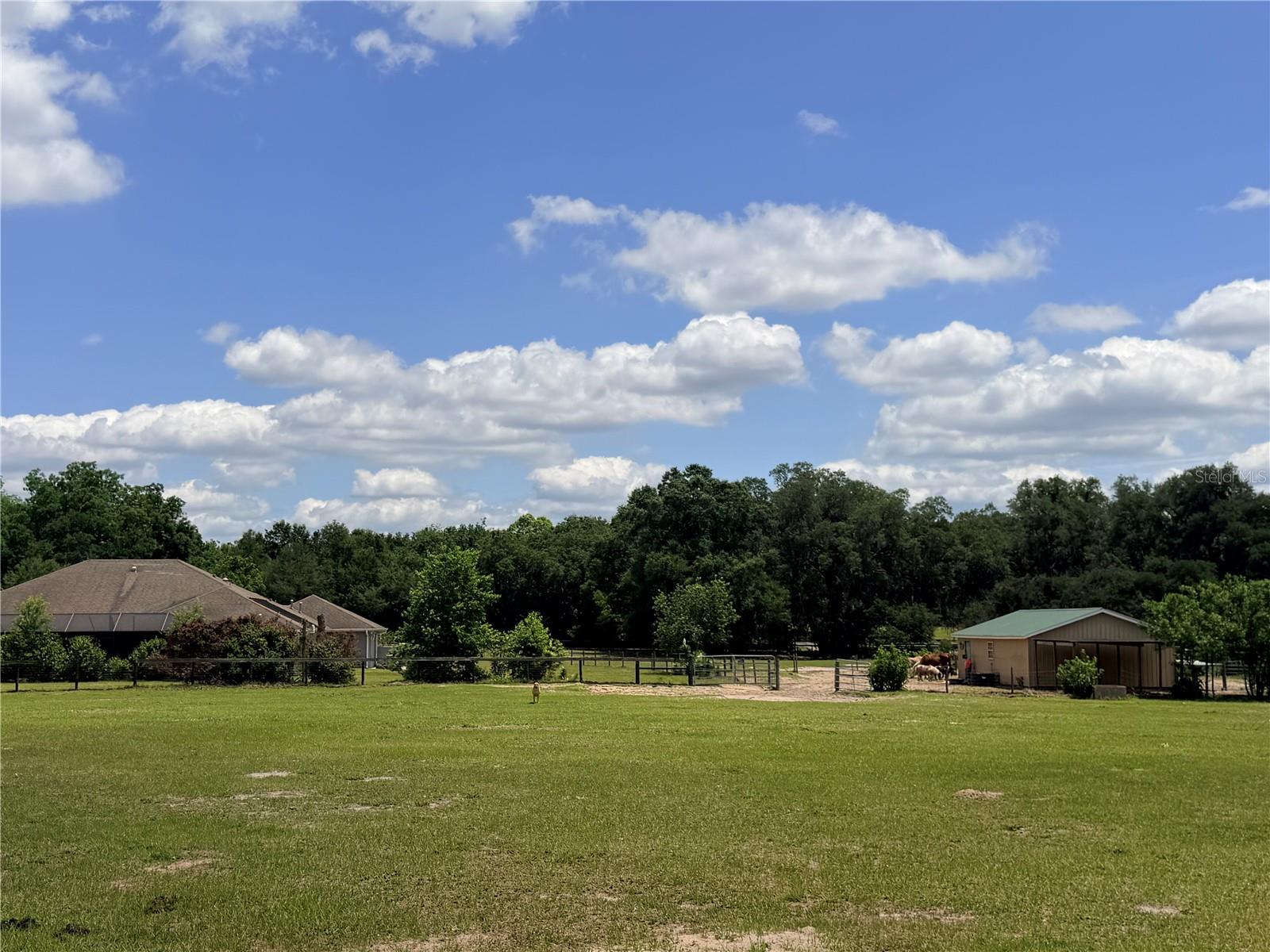12764 COUNTY ROAD 223