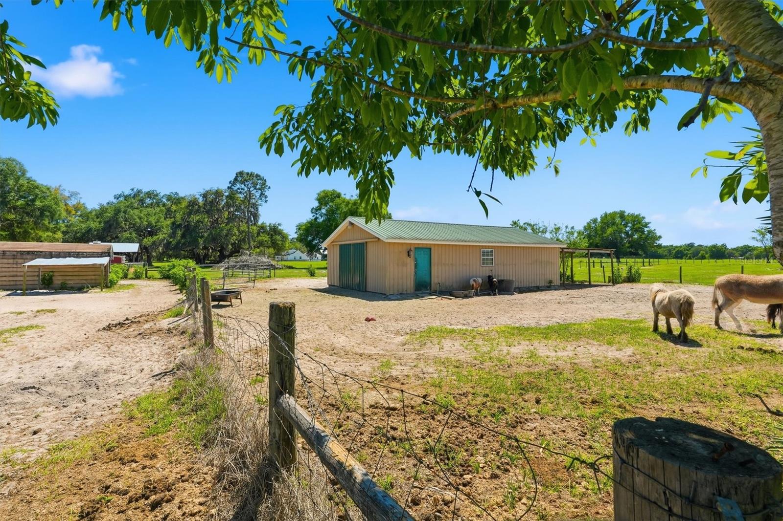 12764 COUNTY ROAD 223