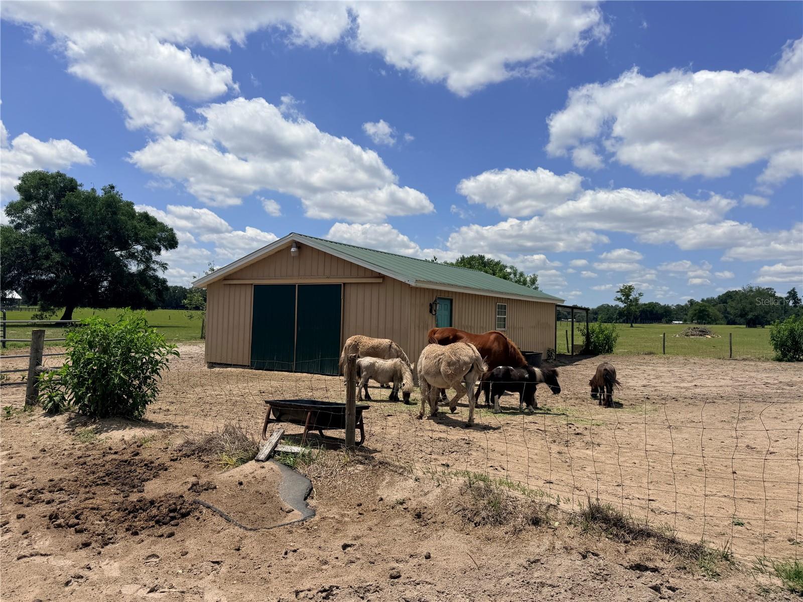 12764 COUNTY ROAD 223