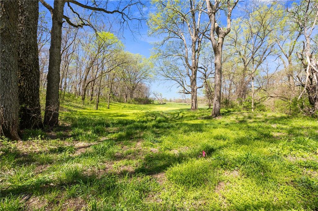 TBD Wellman Road