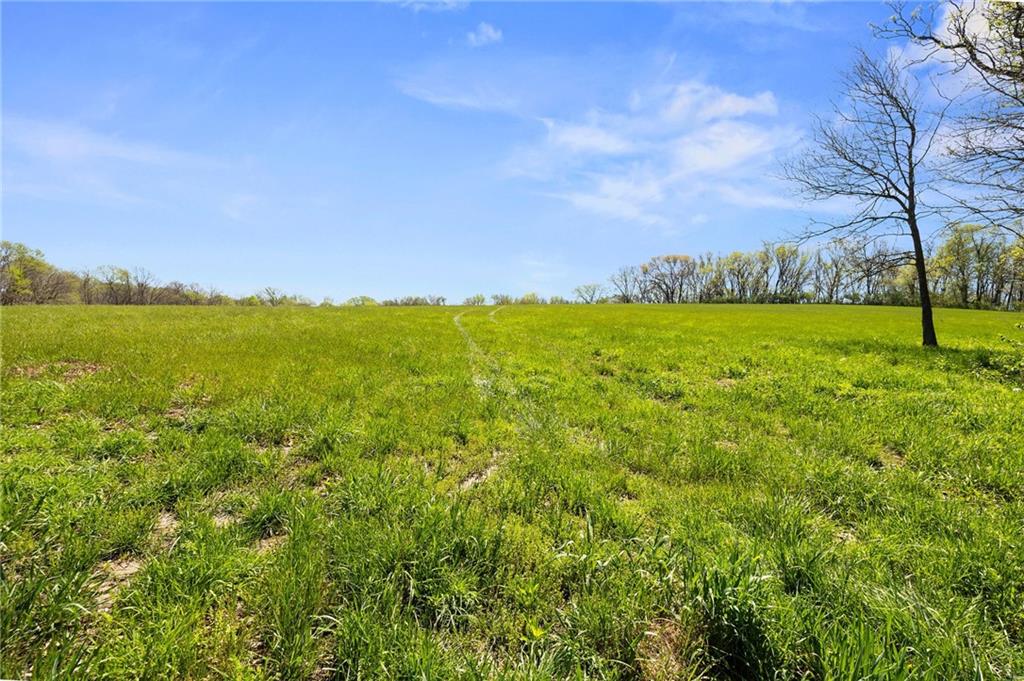TBD Wellman Road