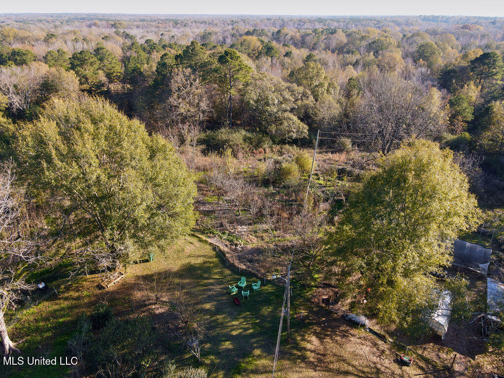 1541 Frank Hall Road