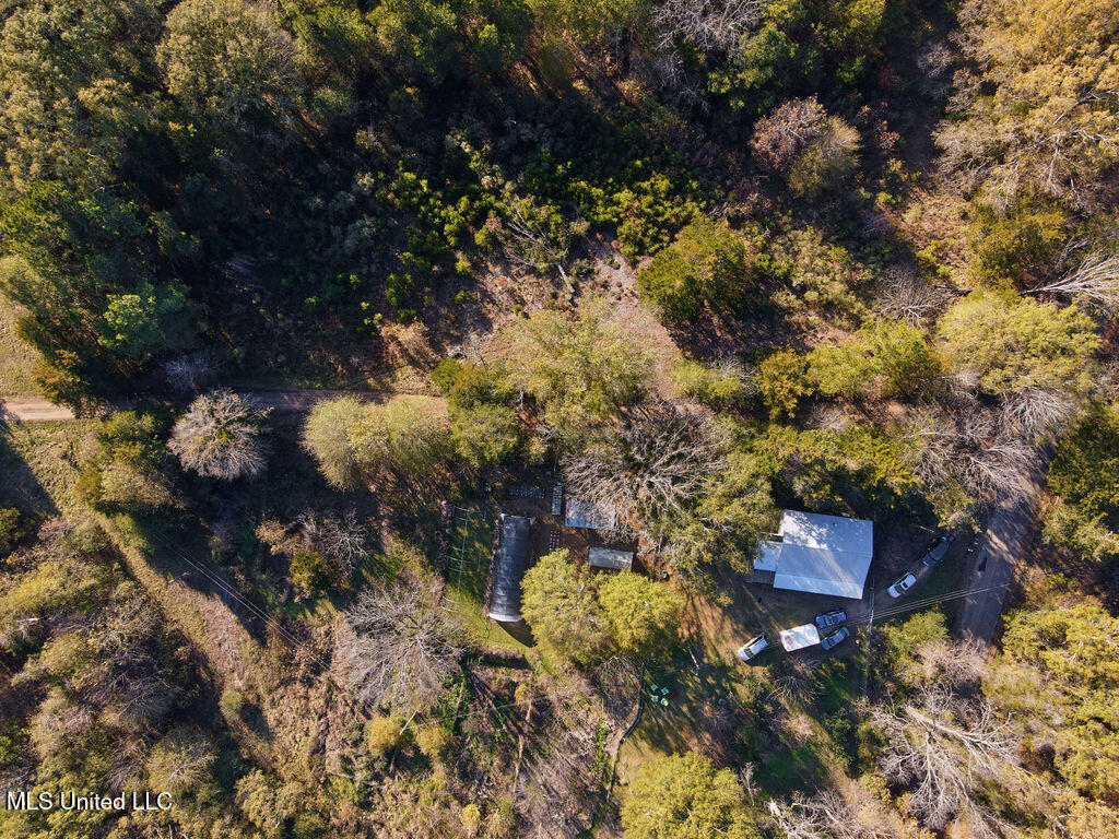1541 Frank Hall Road